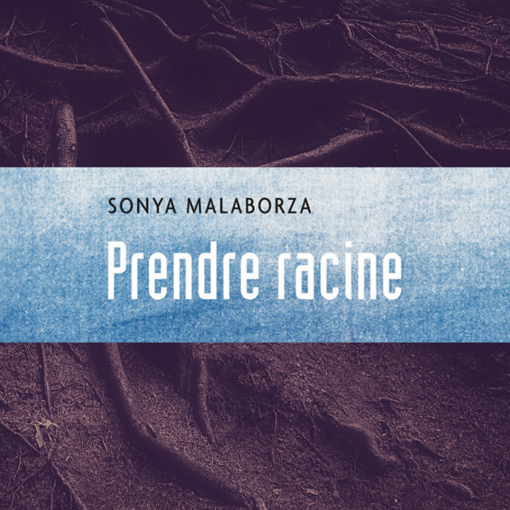 Tout ce qu’on déterre pour mieux s’enraciner