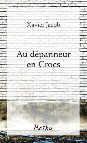 Au dépanneur en Crocs