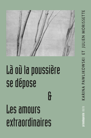 Là où la poussière se dépose, suivi de Les amours extraordinaires