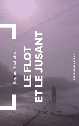 Le flot et le jusant