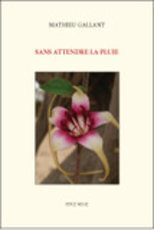 Sans attendre la pluie